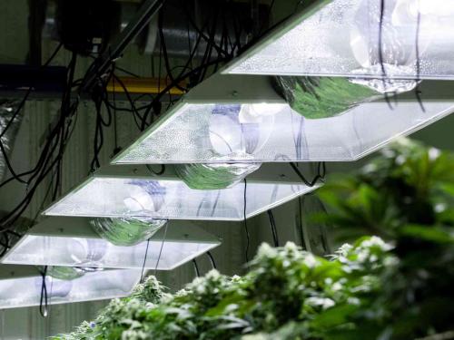 How to Safely Connect Electrical Equipment in Your Growroom?