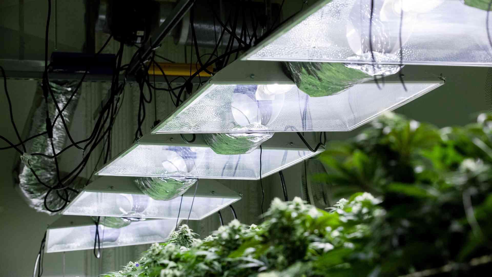 How to Safely Connect Electrical Equipment in Your Growroom?