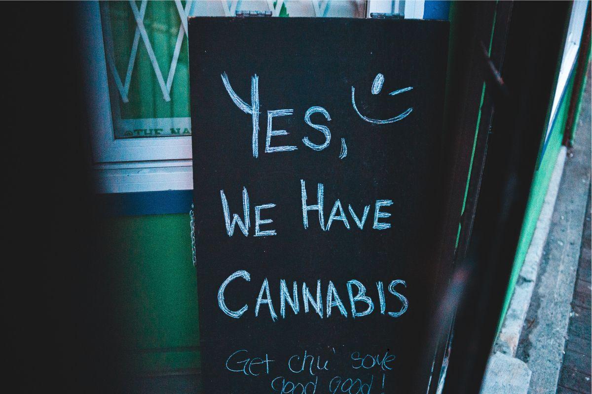 Discreet Logistics: Shopping and Waste Disposal in Home Cannabis Cultivation